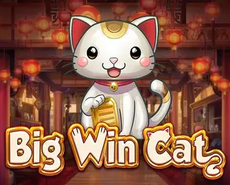 
                            Big Win Cat