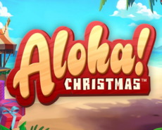 
                            Aloha! Christmas