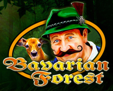 
                            Bavarian Forest