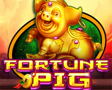 
                            FORTUNE PIG