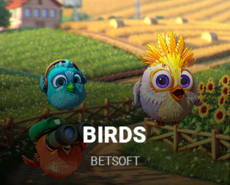 
                            Birds
