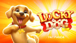 Lucky Dog