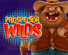 
                            Prospector Wilds