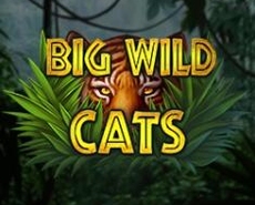 
                            Big Wild Cats 