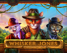 
                            Whisker jones