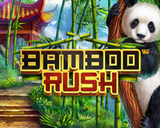 
                            Bamboo Rush