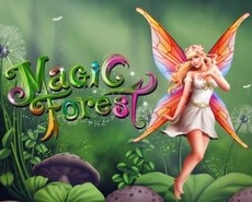 
                            Magic Forest