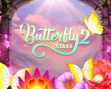 
                            Butterfly Staxx 2