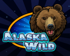 
                            Alaska Wild