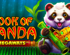 
                            Book of Panda Megaways™
