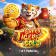
                            Lucky Tiger Gold