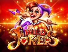 
                            Wild Joker