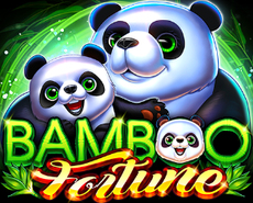 
                            Bamboo Fortune