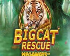 
                            Big Cat Rescue Megaways