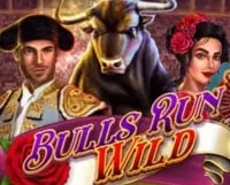 
                            Bulls Run Wild