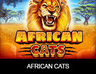 
                            African Cats