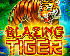 
                            Blazing Tiger