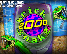 
                            BRICK SNAKE 2000