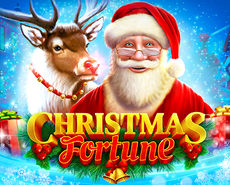 
                            Christmas Fortune