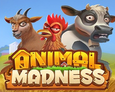 
                            Animal Madness