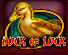 
                            Duck Of Luck