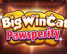 
                            Big Win Cat Pawsperity