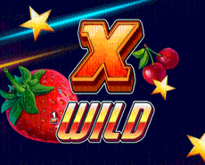 
                            X-WILD