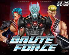 
                            BRUTE FORCE
