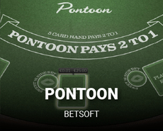 
                            Pontoon