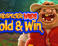 
                            Prospector Wilds Hold and Win 