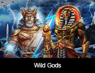 
                            Wild Gods