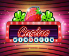 
                            CASINO WIN SPIN