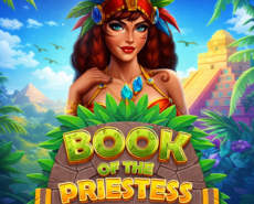 
                            Book of the Priestess
