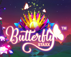
                            Butterfly Staxx